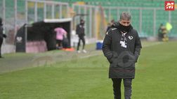 Avellino, Boscaglia per il dopo Gautieri? L’ex Palermo favorito per la panchina