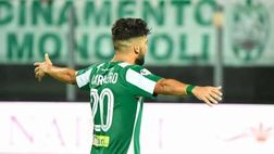 Mercato Padova, contatto con l’Avellino per Aloi e Carriero. Proposto Ronaldo