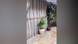 VIDEO / Ilary Blasi a Zanzibar: alla scoperta del suo resort