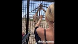 VIDEO / Ilary Blasi tra le giraffe: che divertimento al Safari!