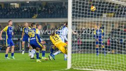 Verona verso la Sampdoria, l’allenamento dei gialloblù