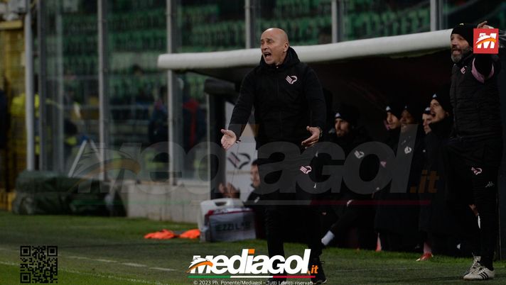 Palermo, identità, anima e concretezza: crocevia Ascoli e sguardo alla zona playoff palermo