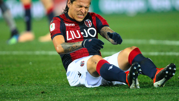 Bologna, tegola Santander: si è operato al ginocchio e starà fuori 4 mesi! Bologna, tegola Santander: si è operato al ginocchio e starà fuori 4 mesi! - immagine 1