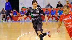 Bernardinello Petrarca, sconfitta onorevole sul campo dei campioni di Pesaro