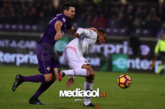 FLORENCE, ITALY - DECEMBER 04: Nenad Tomovic (L) of Fiorentina and Robin Quaison of Palermo compete for the ball during the Serie A match between ACF Fiorentina and US Citta di Palermo at Stadio Artemio Franchi on December 4, 2016 in Florence, Italy.  (Photo by Tullio M. Puglia/Getty Images) 