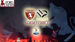 FINALE! Torino-Palermo 3-0