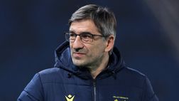 Juric attacca Pradè: “Manca di rispetto verso di me e il Verona. Chieda scusa”