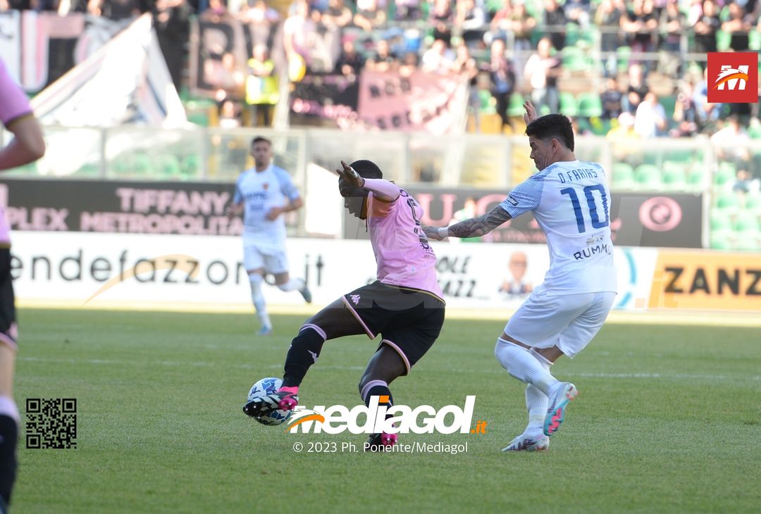 FOTO Palermo-Benevento 1-1, 34ª giornata di Serie B 2022-2023 (La Gallery) - immagine 14