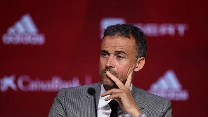 luis enrique napoli