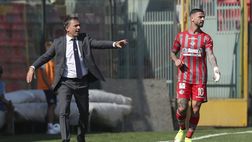 Pecchia: “Gaetano è un centrocampista che ha qualità e senso del gol”