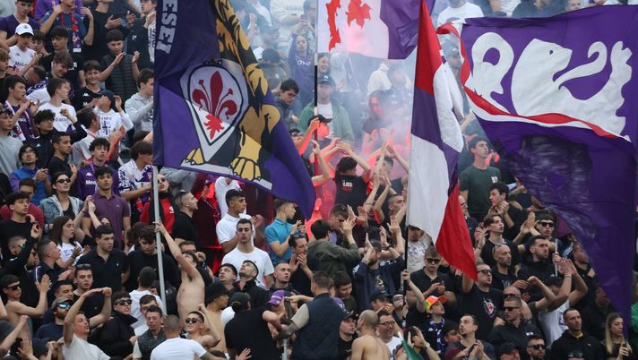 Adesso il Franchi ci crede: portare un trofeo a Firenze, ma non solo - immagine 1