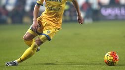 Frosinone: il punto della situazione. Tonev out con l’Udinese