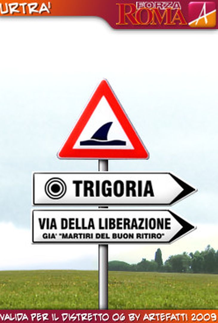 vignette - immagine 12