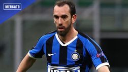 Calciomercato Inter – Via Godín? È già pronto il sostituto | News