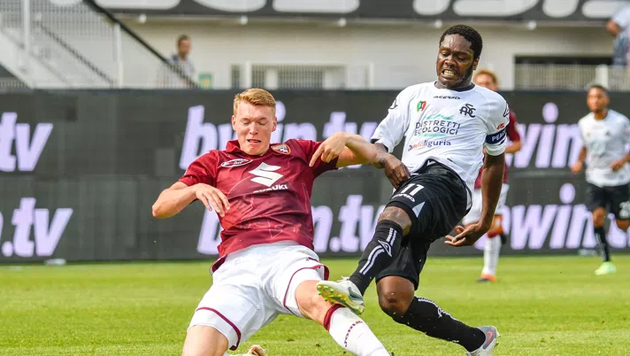 La moviola di Spezia-Torino 0-4: è stata la mano di Gyasi - immagine 1