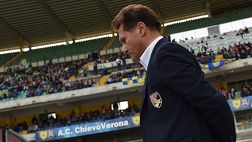 Novellino: “Nessuna chiamata da Zamparini, mi dispiacerebbe mollare”