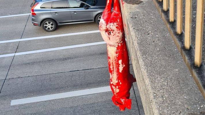 Derby di Graz, il guanto di sfida è un maiale insanguinato appeso ad un ponte stradale - immagine 1