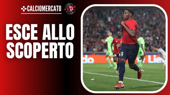 Jonathan David Lille