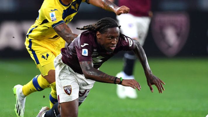 Torino, esami per Soppy: lesione di secondo grado ai muscoli della coscia sinistra - immagine 1