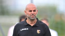 Stellone: “Parma da A, ma altre squadre favorite. Pecchia un vincente”