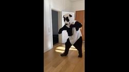 VIDEO / Evra, ma che fai? Si traveste da panda e…