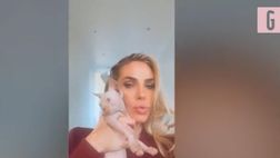 VIDEO / Ilary Blasi si gode la compagnia del suo gatto Alfio