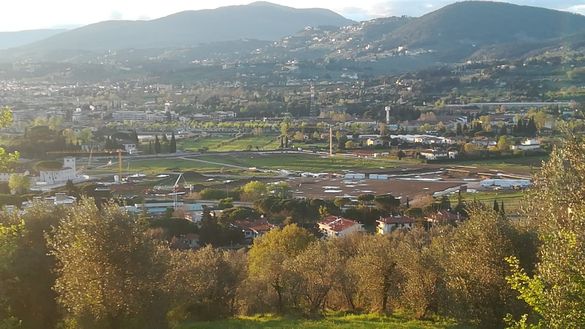 Foto di Violanews.com Foto di Violanews.com