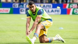 Mazzitelli, Cheddira e Brescianini rischia: le ultimissime di formazione nel Frosinone
