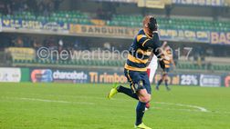 Verona ad Avellino, la probabile formazione