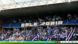 Samp, quanti avvoltoi per un like…