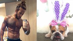 Lewis Hamilton piange la sua amata Coco: “Il suo cuore ha ceduto, era un cane speciale”