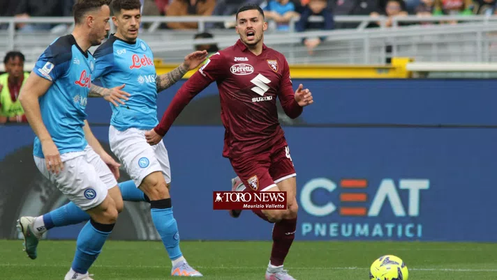 Toro, Radonjic si candida per il Sassuolo: ancora in dubbio Miranchuk e Karamoh - immagine 1