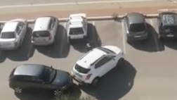 Azione fulminea dei ladri che rubano auto mentre proprietario grida e filma dal balcone (video)
