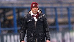 Conferenza Torino – Mihajlovic: “Ljajic? Arriverà in doppia cifra. Iturbe? A gara in corso sarà utile”