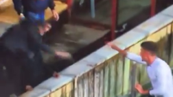 Salernitana-Lecce, un tifoso ospite scivola nel fossato dell’Arechi: la dinamica