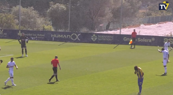 Spagna, enorme invasione di zanzare: partita sospesa tra punture e collirio per gli occhi- immagine 2