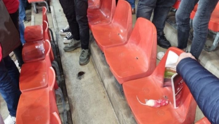 Derby vallone: tifosi Charleroi, topi morti lanciati contro la curva Standard Liegi - immagine 1