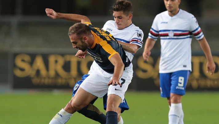 during the Serie A match between Hellas Verona FC and UC Sampdoria at Stadio Marc'Antonio Bentegodi on September 20, 2017 in Verona, Italy.  during the Serie A match between Hellas Verona FC and UC Sampdoria at Stadio Marc'Antonio Bentegodi on September 20, 2017 in Verona, Italy.