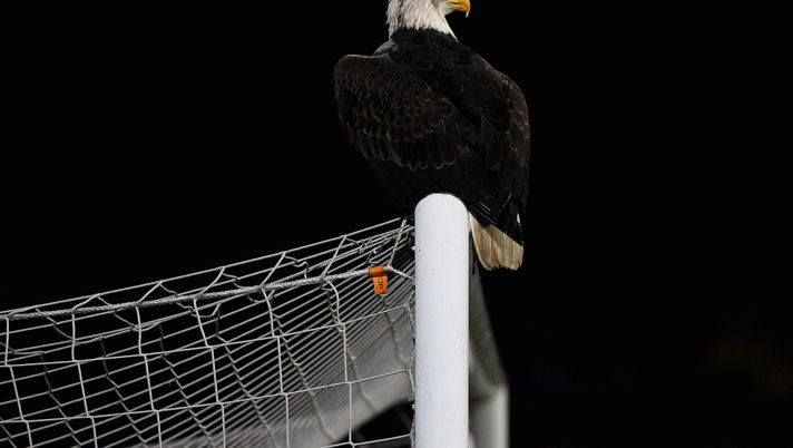 Mercato Lazio – Quattro occasioni per la porta biancoceleste- immagine 2