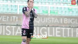 Potenza-Palermo 1-0: i rosa sbattono su Greco e la traversa, Romero li punisce