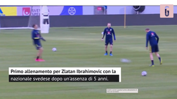 VIDEO Svezia, il ritorno di Ibrahimovic: ecco come si prepara Zlatan in vista del match contro la Georgia