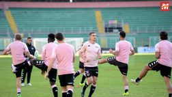Palermo, verso il match contro la Cavese: Corrado, Lancini e Marconi in dubbio, Almici…