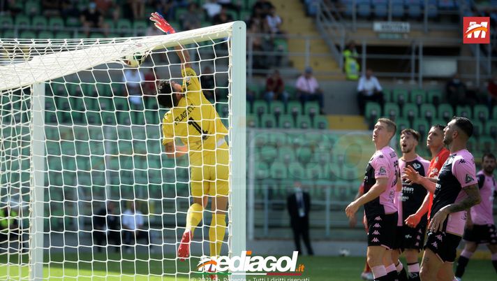 Palermo, dilemma tra i pali: Massolo una garanzia, adesso Pelagotti rischia il posto  palermo