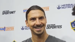 Milan Top News: Ibrahimovic accetta, parla Strinic. E De Paul…