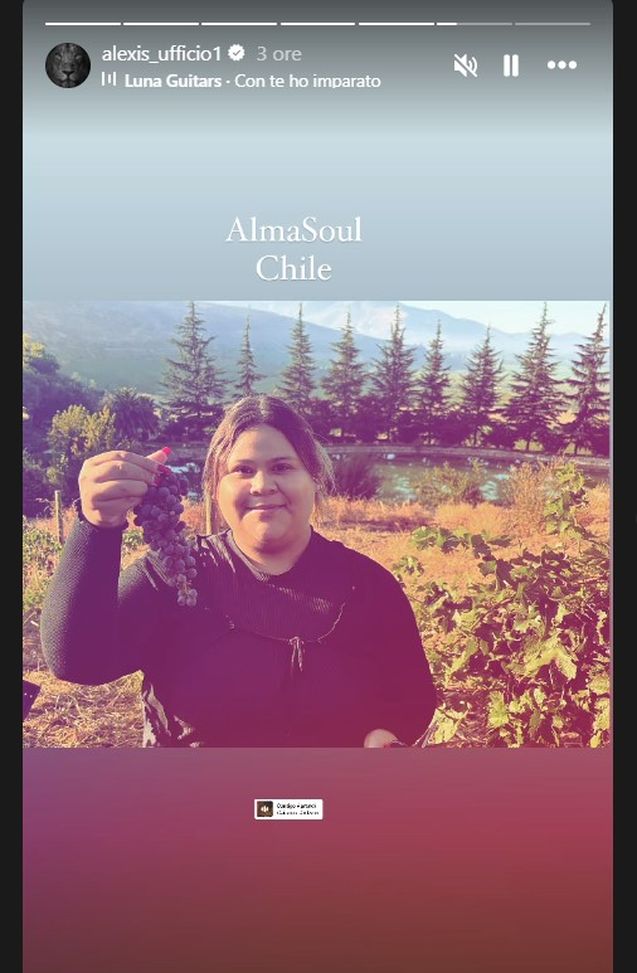 Sanchez sui social: “Perseguire con passione i sogni è ragione di vita”- immagine 2