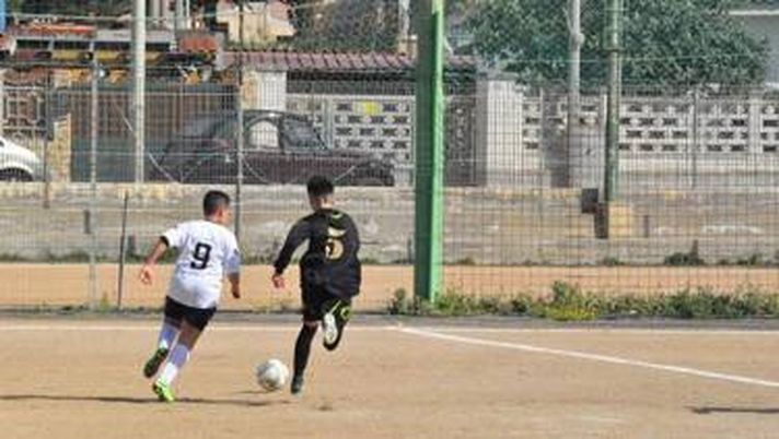 Come programmare un allenamento annuale  Come programmare un allenamento annuale - immagine 1