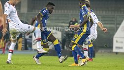 Centrocampo Verona, avanti con Ilic e Vieira
