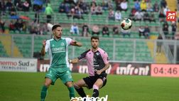 Serie C, Giudice Sportivo: Doda salta Fidelis-Palermo, De Rose in diffida