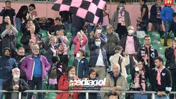 Palermo, Giornata Rosanero: con l’Avellino l’iniziativa per riempire il Barbera
