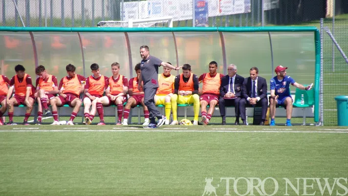 Primavera, oggi Sampdoria-Torino: le probabili formazioni e dove vederla